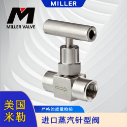 进口蒸汽针型阀
